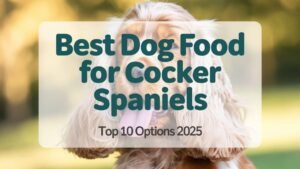 Best Dog Food for Cocker Spaniels_ Top 10 Options 2025
